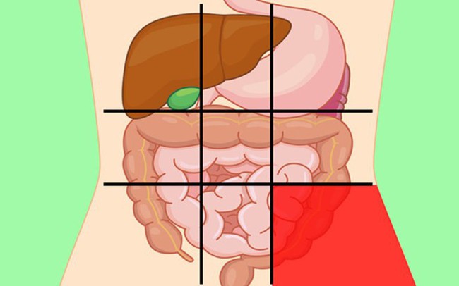 GS tiêu hóa chia sẻ: 7 vị trí đau bụng ai cũng cần biết để nhận diện mối nguy hiểm - Ảnh 1.