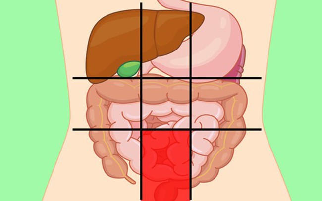 GS tiêu hóa chia sẻ: 7 vị trí đau bụng ai cũng cần biết để nhận diện mối nguy hiểm - Ảnh 2.