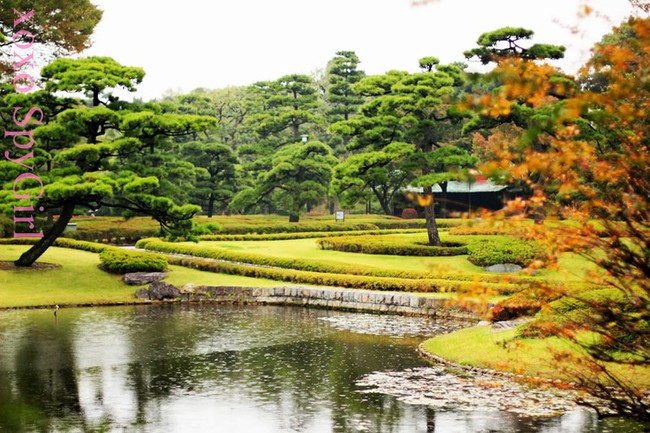 Hoàng cung Nhật Bản trang nghiêm và đầy chất thơ nép mình bên cạnh sự hiện đại chóng mặt của đô thị - Ảnh 4.