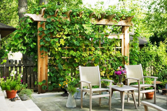 5 ý tưởng để nâng cấp sân vườn nhà bạn trong mùa hè này - Ảnh 1.