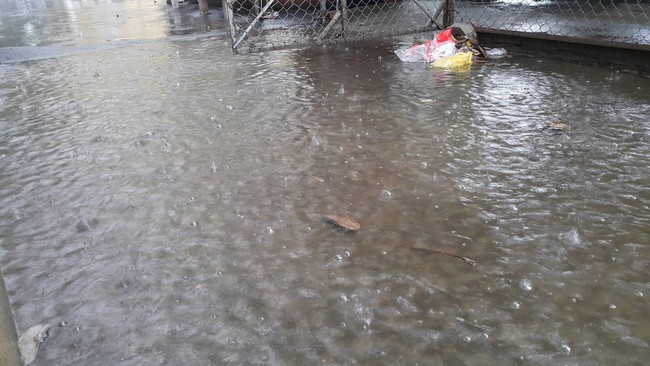 Sáng 30/4, Hà Nội bất ngờ đổ mưa lớn tầm tã, đường phố vắng hoe không bóng người - Ảnh 9.