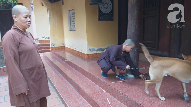 Sự thật những đứa trẻ cần được giải thoát vì bị sư trụ trì hành hạ, đánh đập tàn bạo mỗi tối ở Hà Nội - Ảnh 4.