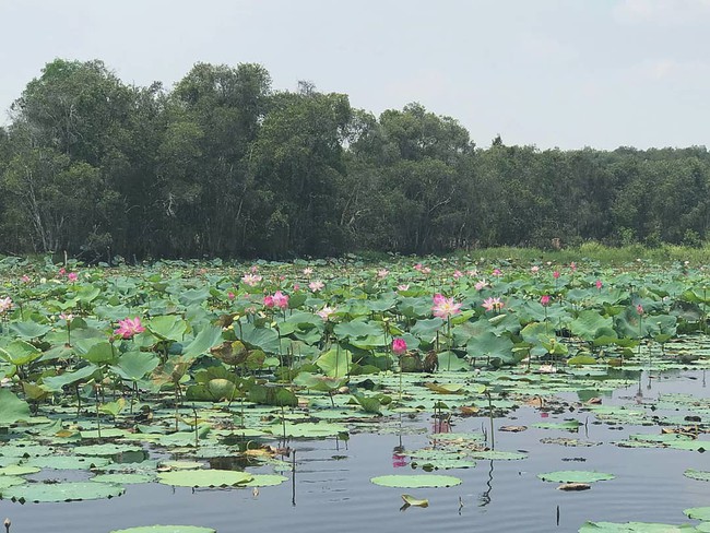 Nghỉ lễ ở Sài Gòn không cần đi xa, đến làng nổi Tân Lập là đủ vừa an yên vừa sôi động, mê nhất là các bé - Ảnh 16.