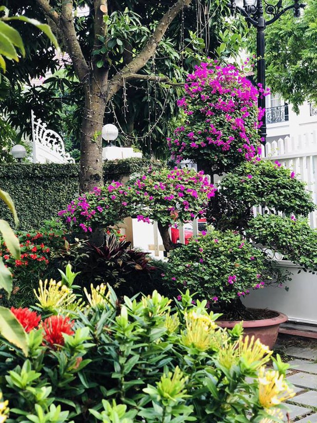 Bất ngờ với nhà của các MC nổi tiếng VTV Long Vũ, Hoa Thanh Tùng, Nguyễn Hoàng Linh - Ảnh 3. Bất ngờ với nhà của các MC nổi tiếng VTV Long Vũ, Hoa Thanh Tùng, Nguyễn Hoàng Linh - Ảnh 3.