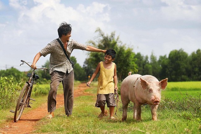 5 phận “gà trống nuôi con” đầy cảm động khiến khán giả phim Việt không thể cầm lòng - Ảnh 5.