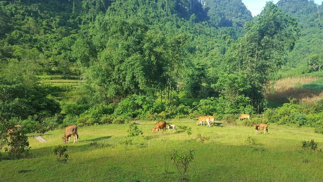 Bỏ qua ồn ào nơi phố thị, đây chính là một điểm đến yên bình, xanh mát cho gia đình hè này - Ảnh 12.