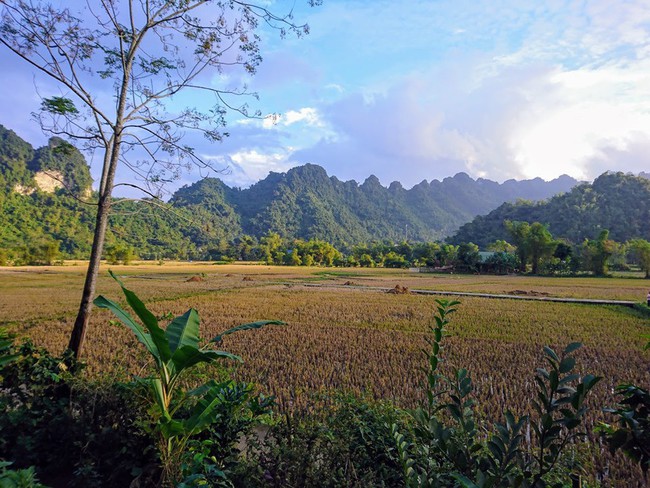 Bỏ qua ồn ào nơi phố thị, đây chính là một điểm đến yên bình, xanh mát cho gia đình hè này - Ảnh 1. Bỏ qua ồn ào nơi phố thị, đây chính là một điểm đến yên bình, xanh mát cho gia đình hè này - Ảnh 1.