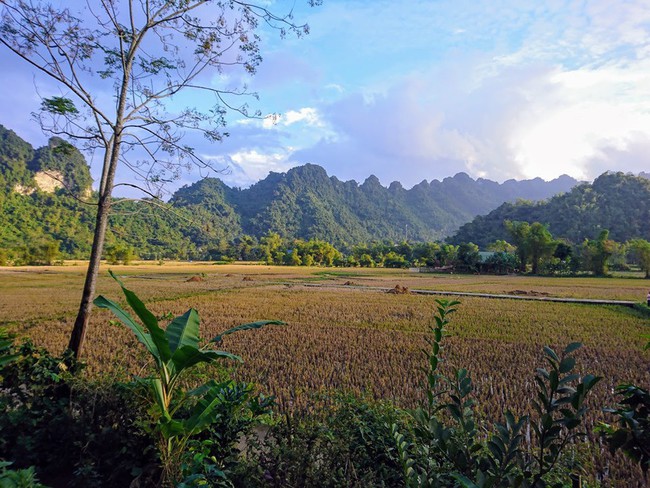 Bỏ qua ồn ào nơi phố thị, đây chính là một điểm đến yên bình, xanh mát cho gia đình hè này - Ảnh 1.