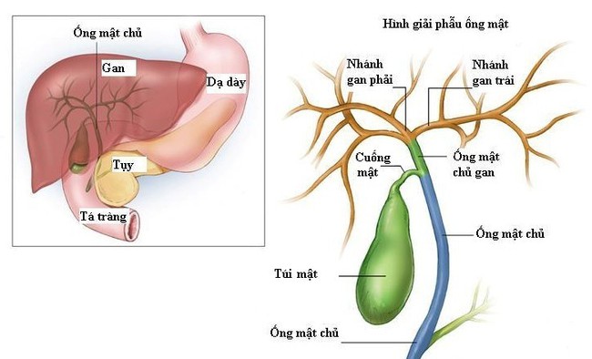 Thấy cơ thể có 3 bộ phận này chuyển sang màu vàng thì coi chừng bạn đang bị ung thư - Ảnh 4.