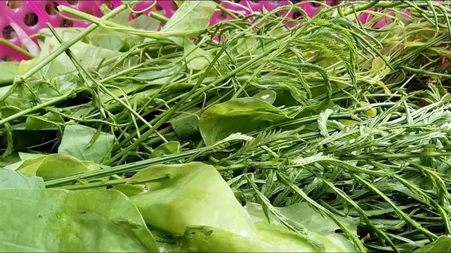 Đặc sản thịt thối lúc nhúc giòi của người Khơ Mú ở Sơn La: nghe qua đã hãi hùng, liệu mấy ai dám thử! - Ảnh 3. Đặc sản thịt thối lúc nhúc giòi của người Khơ Mú ở Sơn La: nghe qua đã hãi hùng, liệu mấy ai dám thử! - Ảnh 3.