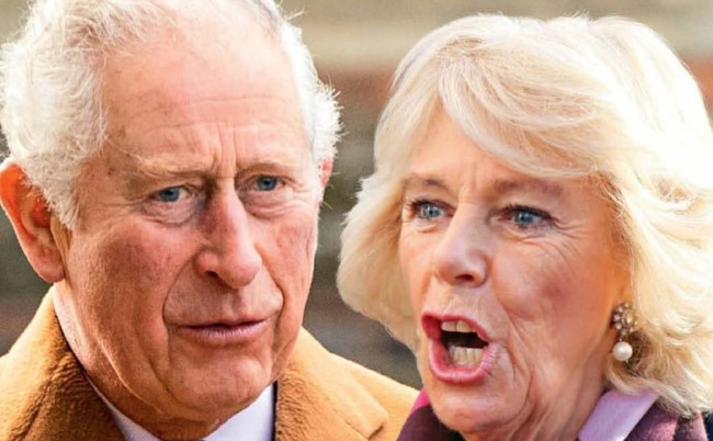 Tiết lộ mới gây sốc: Thái tử Charles sắp thừa kế ngai vàng và sẽ ly hôn bà Camilla vì lý do dễ hiểu này - Ảnh 2. Tiết lộ mới gây sốc: Thái tử Charles sắp thừa kế ngai vàng và sẽ ly hôn bà Camilla vì lý do dễ hiểu này - Ảnh 2.