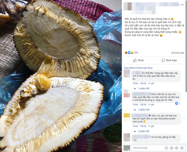 Cười ra nước mắt với mít độc múi: Đến tạo hóa cũng trêu ngươi thế này thì chị em biết tin vào đâu đây? - Ảnh 1. Cười ra nước mắt với mít độc múi: Đến tạo hóa cũng trêu ngươi thế này thì chị em biết tin vào đâu đây? - Ảnh 1.