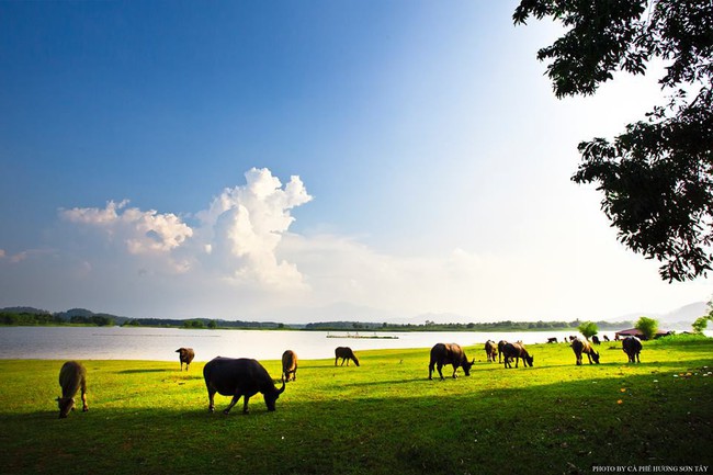 Cách Hà Nội chỉ 40km, đây là địa điểm xanh mát cho gia đình cùng nhau đi trốn dịp cuối tuần - Ảnh 3.