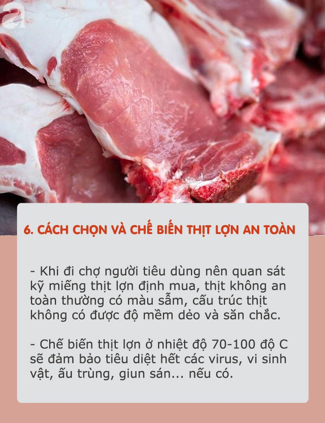 Dịch tả lợn châu Phi hoành hành: Tất cả thông tin cần biết và cách chọn, chế biến thịt an toàn khi đang có dịch - Ảnh 6.