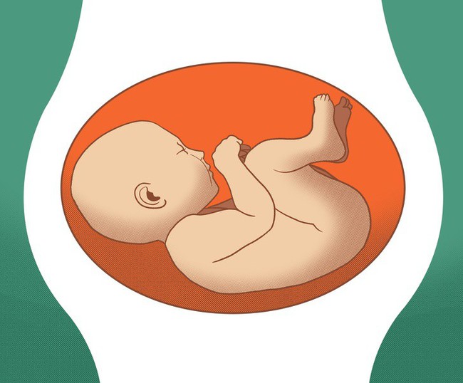 Giải mã cả một loạt các tư thế nằm chẳng ai ngờ đến của thai nhi trong bụng trước khi chào đời - Ảnh 4.