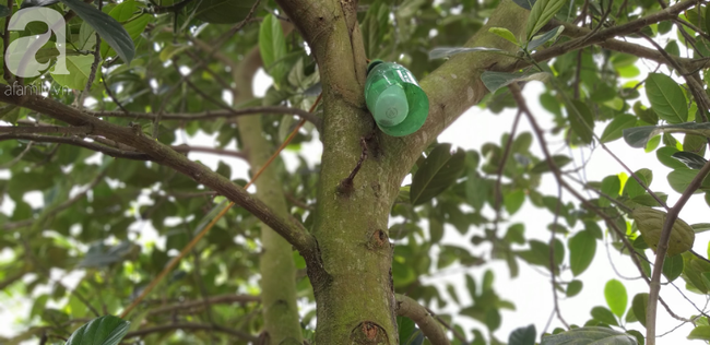 Tâm sự của người cha nhốt con trai như vật nuôi trong chuồng đầy ruồi muỗi: Cái gì đưa vào nó cũng đập phá, ai mà không thương con - Ảnh 7. Tâm sự của người cha nhốt con trai như vật nuôi trong chuồng đầy ruồi muỗi: Cái gì đưa vào nó cũng đập phá, ai mà không thương con - Ảnh 7.
