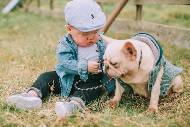 Cậu nhóc khóc ré ăn vạ khi phải chụp ảnh bên bạn chó: Dễ thương quá mức quy định rồi nhé! - Ảnh 11.