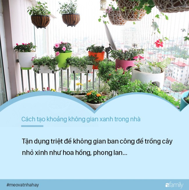 Dù nhà nhỏ tới đâu nếu áp dụng cách này sẽ luôn tạo được khoảng không gian xanh trong nhà - Ảnh 5.