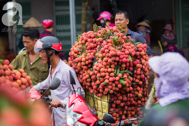 Nông dân trồng vải ở Bắc Giang: “ Chúng tôi vui khi vải thiều năm nay mất mùa” - Ảnh 7.
