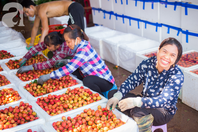 Nông dân trồng vải ở Bắc Giang: “ Chúng tôi vui khi vải thiều năm nay mất mùa” - Ảnh 6.