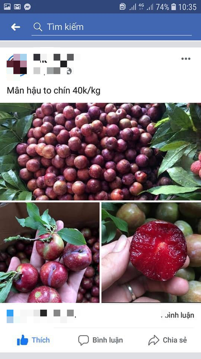 Mua mận trên mạng, cô gái sốc vì nhận được cả mấy miếng bầu kèm câu nói xanh rờn của người bán ''thật thà thì ăn cháo, láo nháo thì ăn cơm'' - Ảnh 1. Mua mận trên mạng, cô gái sốc vì nhận được cả mấy miếng bầu kèm câu nói xanh rờn của người bán ''thật thà thì ăn cháo, láo nháo thì ăn cơm'' - Ảnh 1.
