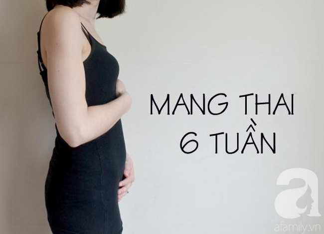 Mang thai tuần 6: Tim thai của em bé sẽ khiến mẹ ngạc nhiên