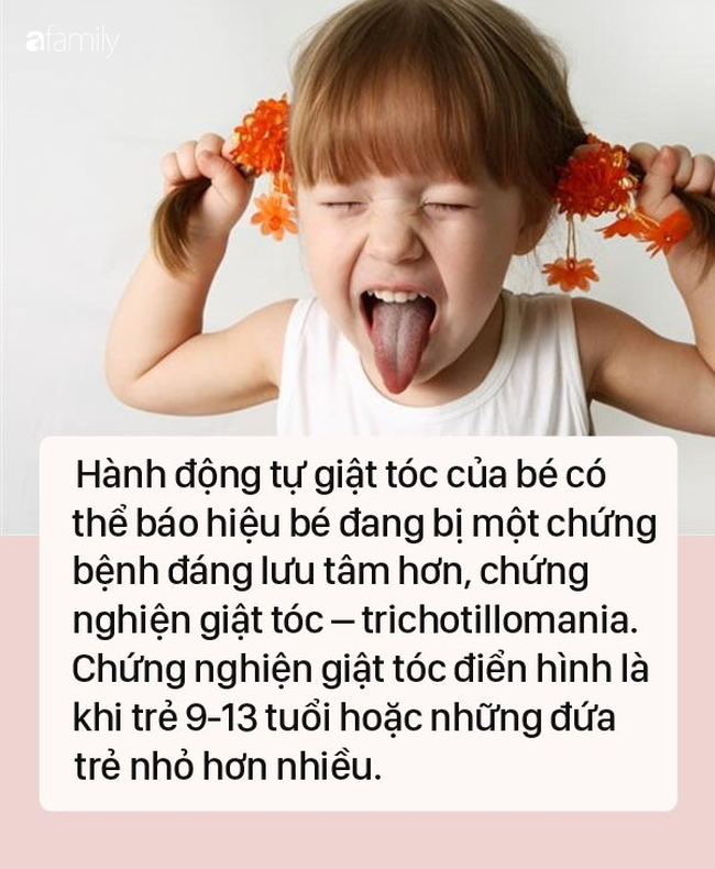 tre-dut-toc-4 tre-dut-toc-4