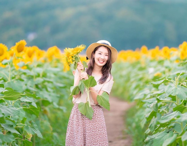 Cánh đồng hoa hướng dương triệu bông đẹp như bức tranh khổng lồ vào mùa thu ở Nhật Bản - Ảnh 5.