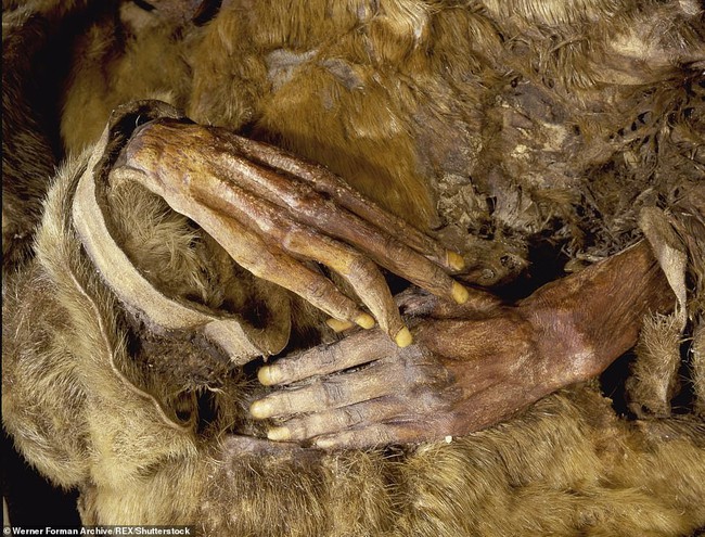 Bí ẩn xác ướp gia đình 8 người được chôn từ 500 năm trước nhưng da, tóc, lông mày và móng tay vẫn còn được giữ nguyên vẹn - Ảnh 3.