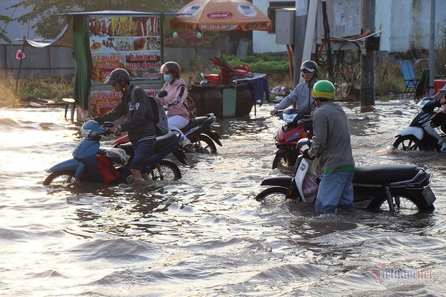 Đưa con đi học từ 5 rưỡi sáng, người Cần Thơ ngao ngán bơi trong biển nước - Ảnh 13.