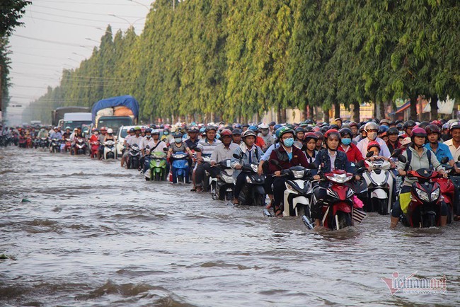 Đưa con đi học từ 5 rưỡi sáng, người Cần Thơ ngao ngán bơi trong biển nước - Ảnh 24.