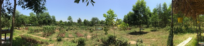 Trang trại rau quả sạch và giấc mơ sống gần hơn với thiên nhiên của hai cô gái 9X ở Hà Tĩnh - Ảnh 5. Trang trại rau quả sạch và giấc mơ sống gần hơn với thiên nhiên của hai cô gái 9X ở Hà Tĩnh - Ảnh 5.