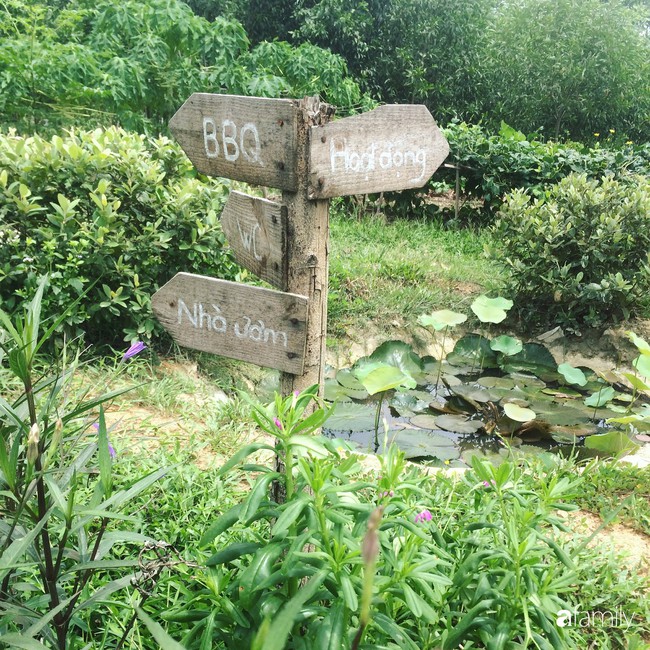 Trang trại rau quả sạch và giấc mơ sống gần hơn với thiên nhiên của hai cô gái 9X ở Hà Tĩnh - Ảnh 11. Trang trại rau quả sạch và giấc mơ sống gần hơn với thiên nhiên của hai cô gái 9X ở Hà Tĩnh - Ảnh 11.