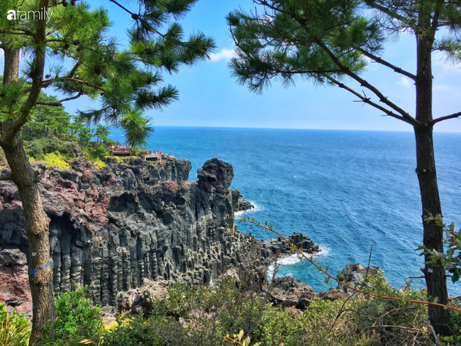 Ngày rời Jeju, tôi đã bỏ quên con tim - Ảnh 5.