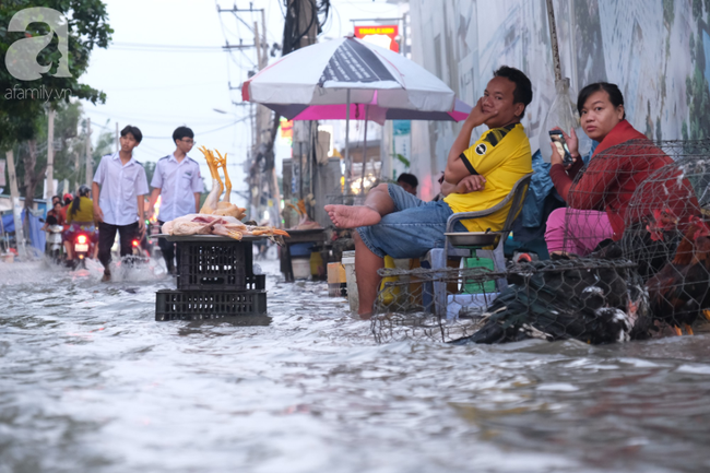 TP.HCM: Ngập lênh láng từ đường vào nhà, người dân bán buôn ế ẩm, khốn khổ dùng đủ mọi cách ngăn nước - Ảnh 5. TP.HCM: Ngập lênh láng từ đường vào nhà, người dân bán buôn ế ẩm, khốn khổ dùng đủ mọi cách ngăn nước - Ảnh 5.