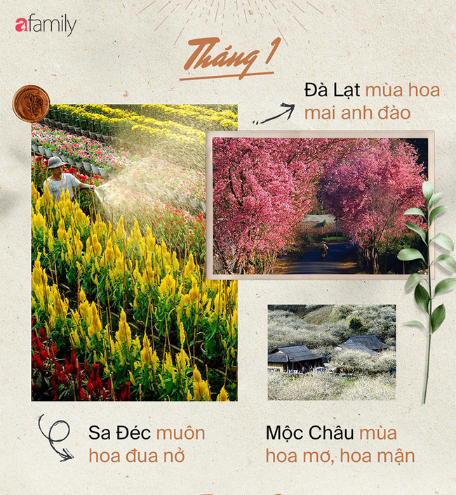 Cẩm nang du lịch 12 tháng - Ảnh 1. Cẩm nang du lịch 12 tháng - Ảnh 1.