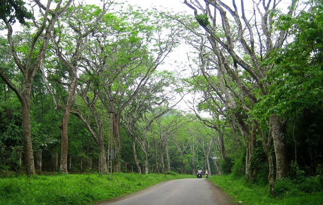 Ninh Bình: Địa điểm lý tưởng để bố mẹ đưa con đi chơi vào cuối tuần - Ảnh 8.