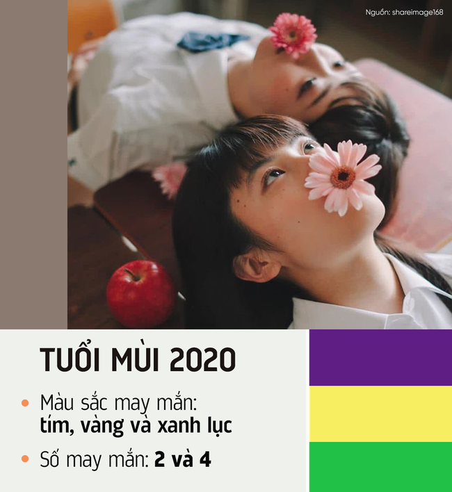 Đ&acirc;y l&agrave; m&agrave;u sắc v&agrave; con số may mắn của 12 con gi&aacute;p trong năm 2020, tận dụng hết mức để sự nghiệp thăng hoa, cuộc sống vi&ecirc;n m&atilde;n - Ảnh 8.