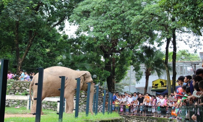 Tết này không biết đi đâu, cha mẹ cứ đưa con đến những địa điểm vui chơi thú vị này - Ảnh 3.