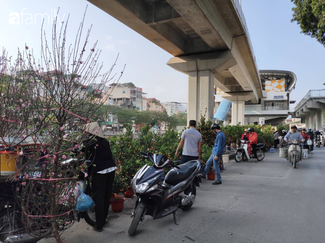 Nhà ga đường sắt trên cao chưa đi vào hoạt động đã thành chợ buôn bán cây cảnh Tết - Ảnh 9.