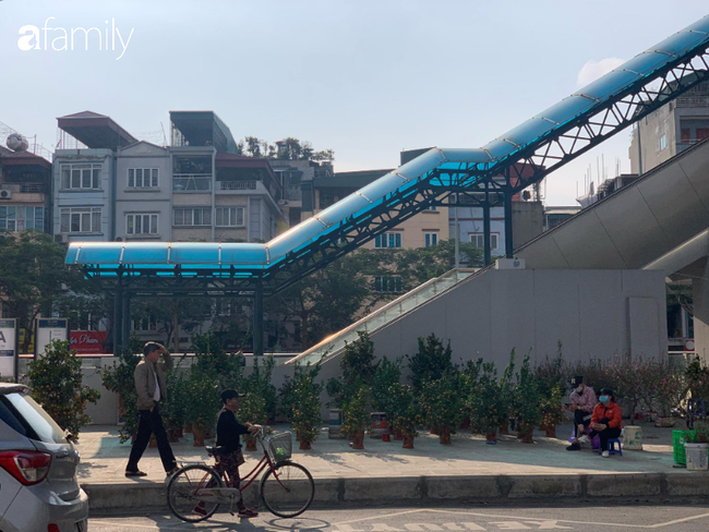 Nhà ga đường sắt trên cao chưa đi vào hoạt động đã thành chợ buôn bán cây cảnh Tết - Ảnh 15.