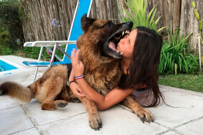 Chụp ảnh với chó cưng, cô gái trẻ bị con vật tấn công dữ dội, khoảnh khắc cuối cùng của gương mặt nguyên vẹn gây rùng mình - Ảnh 2.