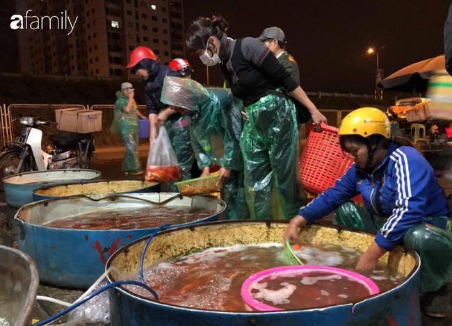 Ngày ông Công ông Táo, chợ cá lớn nhất Hà Nội cháy hàng cá chép từ rạng sáng - Ảnh 4.