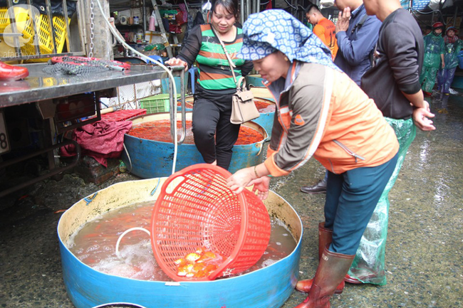 Hà Nội: Công nhân thổi hơi thở vào miệng cấp cứu những con cá chép ngửa bụng sau khi bị ném xuống hồ - Ảnh 19. Hà Nội: Công nhân thổi hơi thở vào miệng cấp cứu những con cá chép ngửa bụng sau khi bị ném xuống hồ - Ảnh 19.