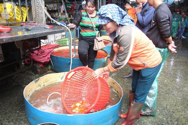 Hà Nội: Công nhân thổi hơi thở vào miệng cấp cứu những con cá chép ngửa bụng sau khi bị ném xuống hồ - Ảnh 19.