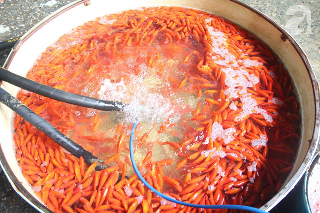 Hà Nội: Công nhân thổi hơi thở vào miệng cấp cứu những con cá chép ngửa bụng sau khi bị ném xuống hồ - Ảnh 18. Hà Nội: Công nhân thổi hơi thở vào miệng cấp cứu những con cá chép ngửa bụng sau khi bị ném xuống hồ - Ảnh 18.