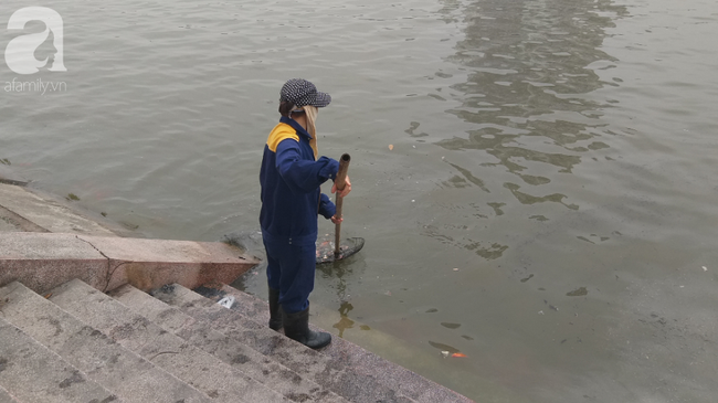 Hà Nội: Công nhân thổi hơi thở vào miệng cấp cứu những con cá chép ngửa bụng sau khi bị ném xuống hồ - Ảnh 6.