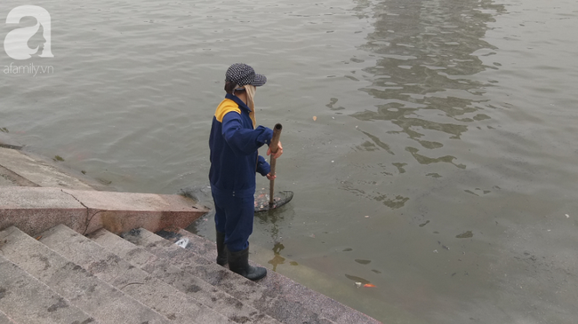 Hà Nội: Công nhân thổi hơi thở vào miệng cấp cứu những con cá chép ngửa bụng sau khi bị ném xuống hồ - Ảnh 6. Hà Nội: Công nhân thổi hơi thở vào miệng cấp cứu những con cá chép ngửa bụng sau khi bị ném xuống hồ - Ảnh 6.
