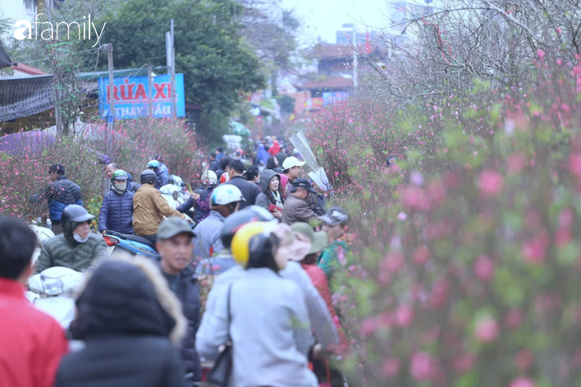 Chợ hoa Quảng An &quot;nghẹt thở&quot; ngày giáp Tết - Ảnh 4.