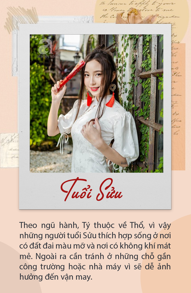 12 con gi&aacute;p n&ecirc;n ở trong ng&ocirc;i nh&agrave; n&agrave;o để thu h&uacute;t t&agrave;i vận - Ảnh 2.